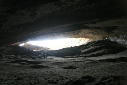 In dieser riesigen...